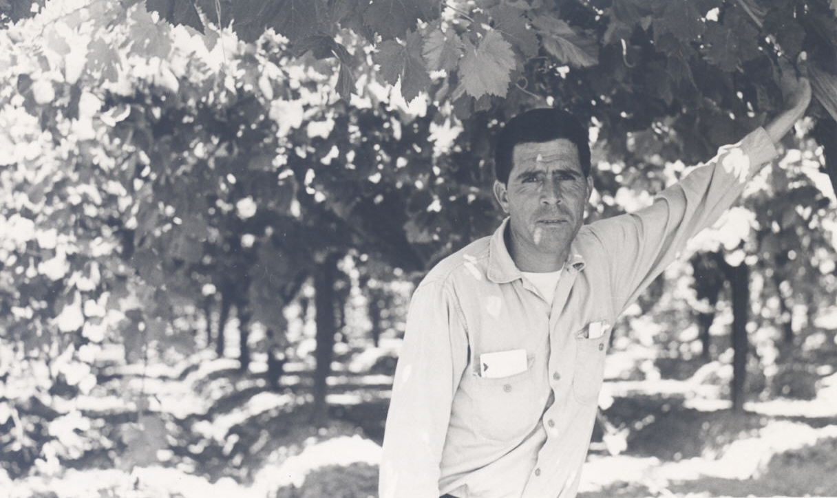 Manuel Vasquez