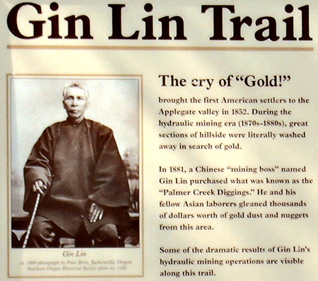 Gin Lin